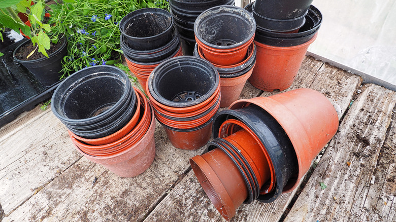 Cheap plastic planters next to plants