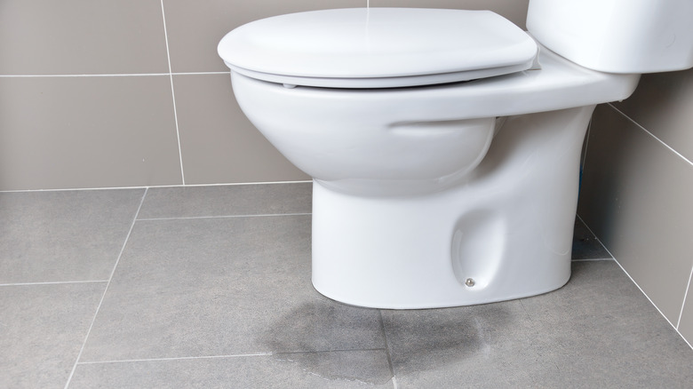 white toilet leaking