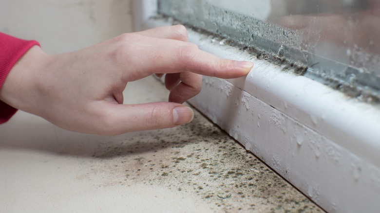 Mold on window grout