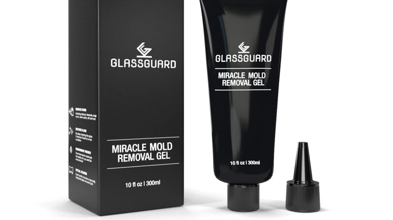 GLASSGUARD Miracle Mold Removal Gel