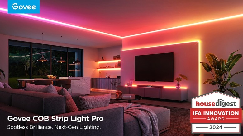 Brightly lit living room