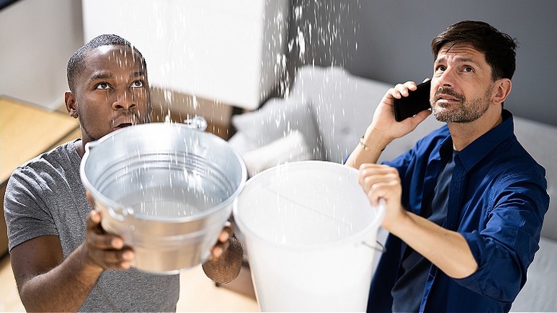 People catching water from roof