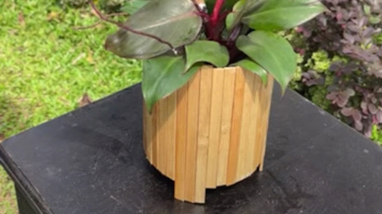 homemade popsicle stick planter