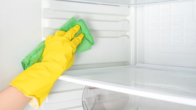 Hand cleaning inside refrigerator