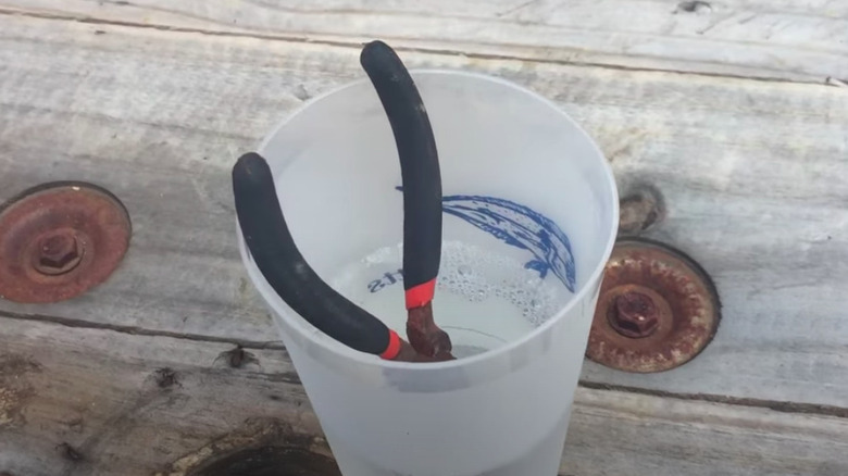 Soaking tool to remove rust