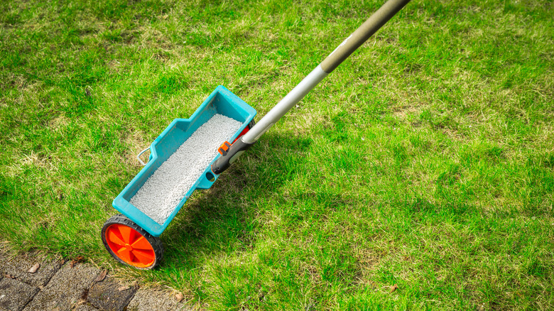 Fertilizer spreader on lawn