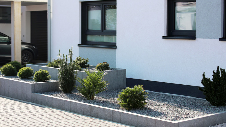 Modern front yard with gravel in concrete planters