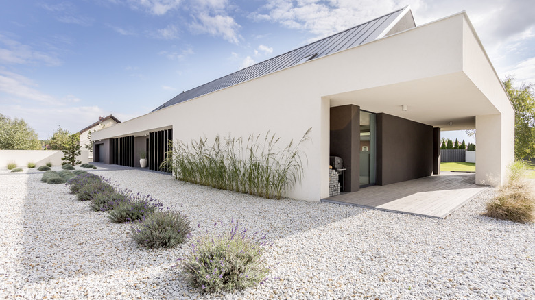 Minimalist gravel landscaping with simple plants in front of modern home