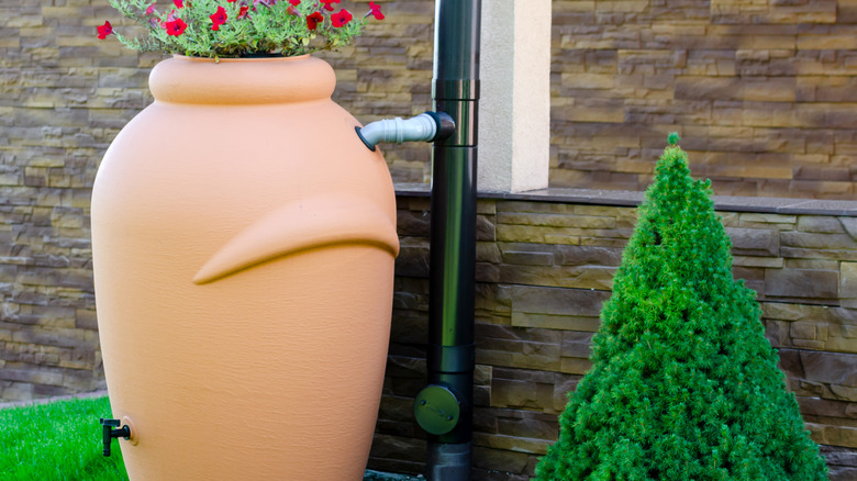 rainwater tank with piping and flowers 