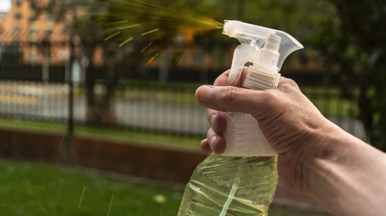 hand held spray bottle outdoors