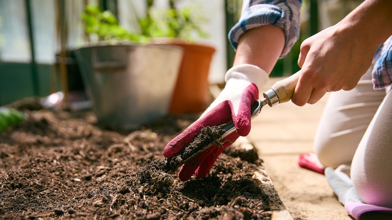 Person digging into soil