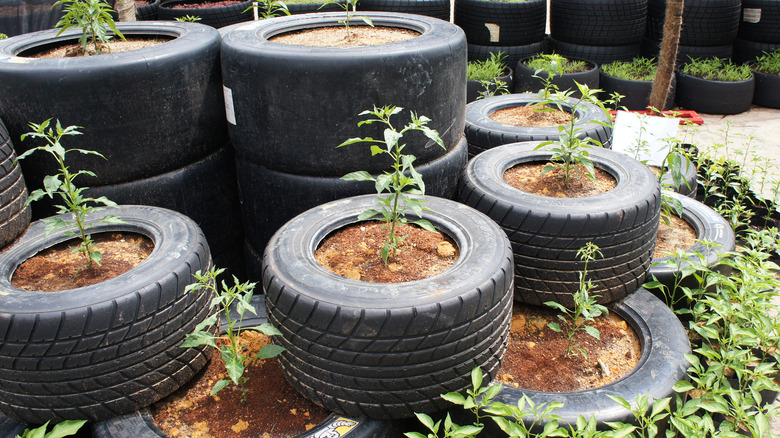 tires used as planters