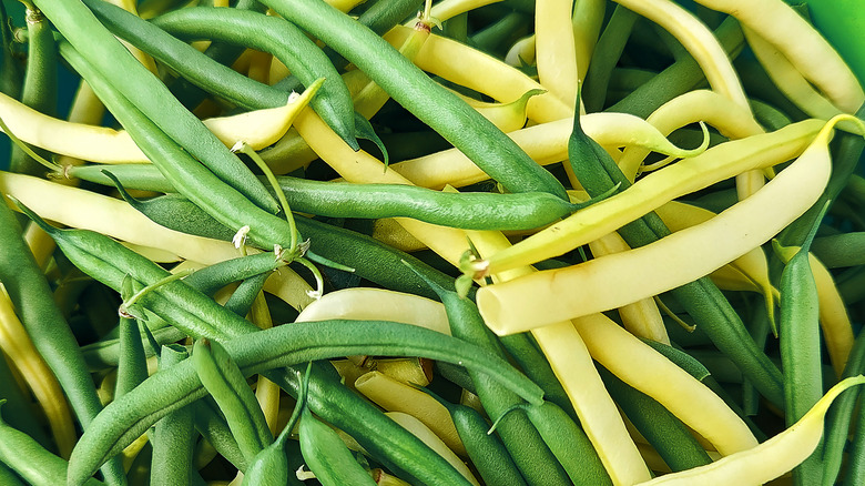 green and yellow beans