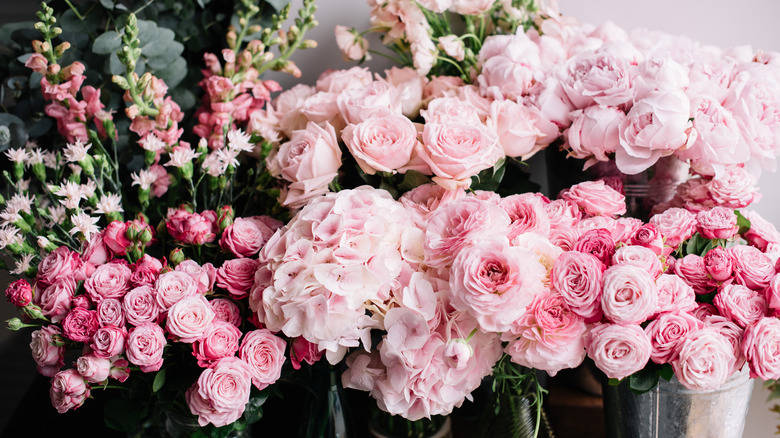 Rose bouquets 