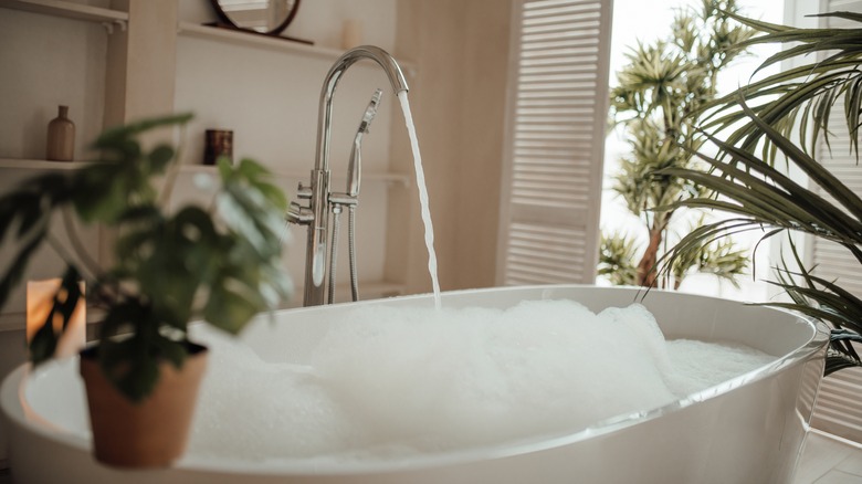 Bathtub with plants around it