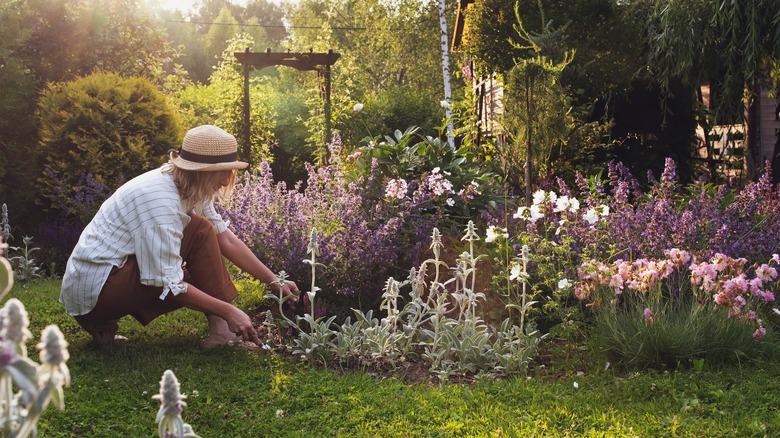 woman gardening