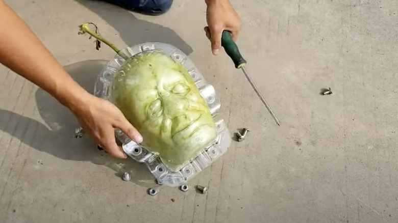 person removing fruit mold