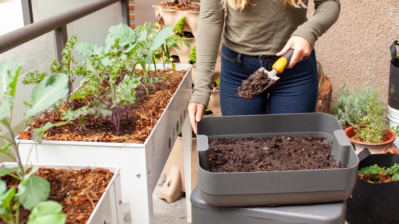 Women planting in raised garden bed