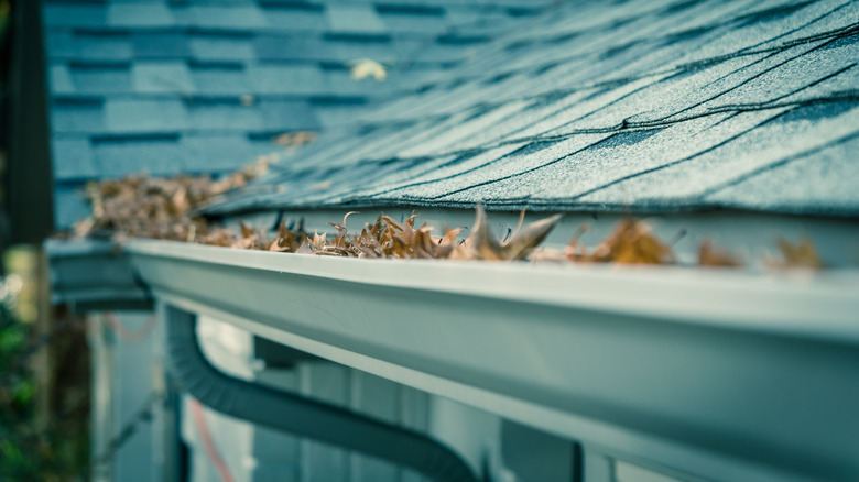 Leaves in a gutter