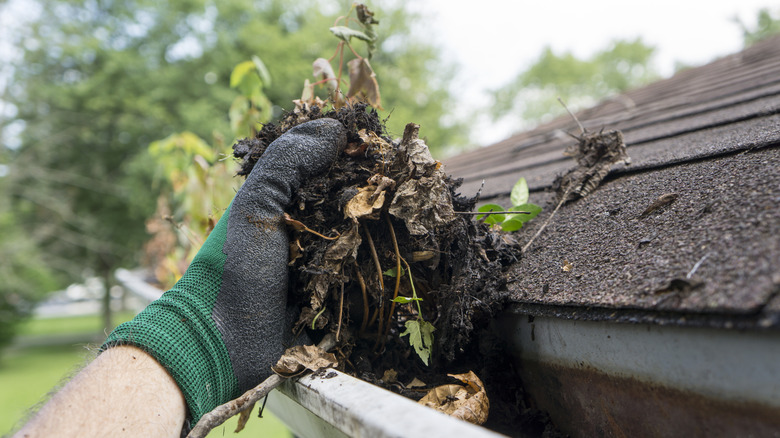 A gloved hand pulling debris from a gutter