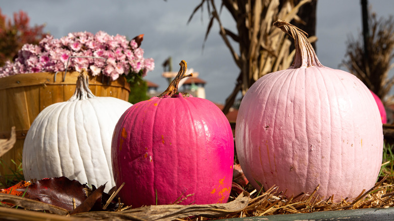 pink painted pumpkins