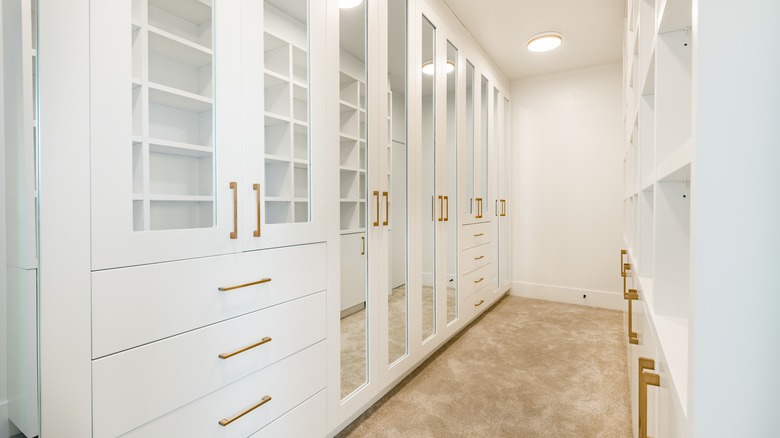 Empty white walk-in storage closet