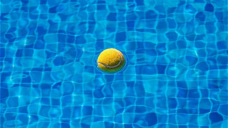 tennis ball in swimming pool