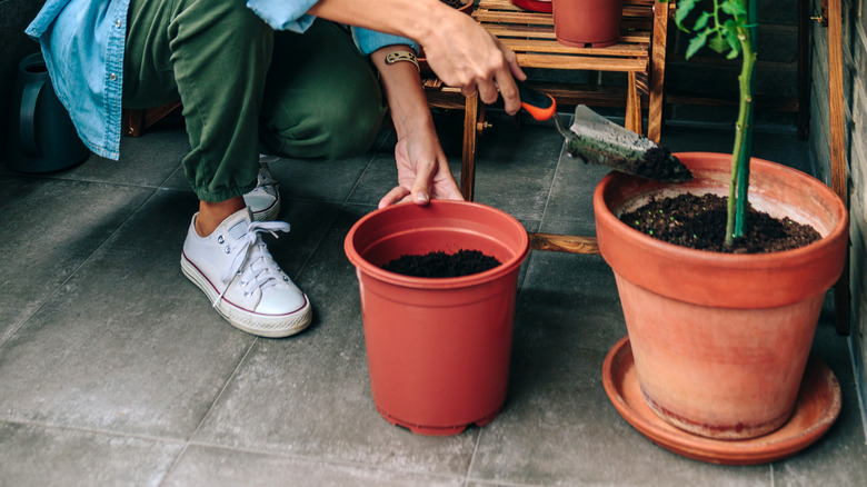 woman putting soil in flower pot