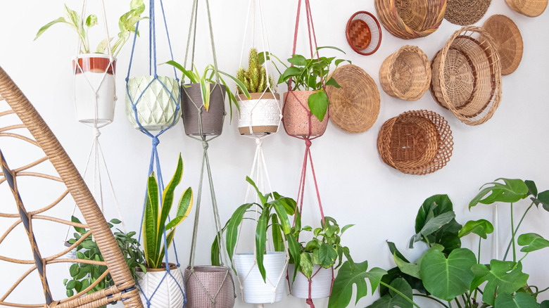 A collection of multi-level hanging plants against a white wall with decorative baskets displayed on the wall next to them