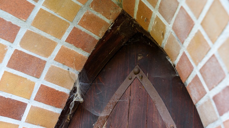 cobweb in an archway