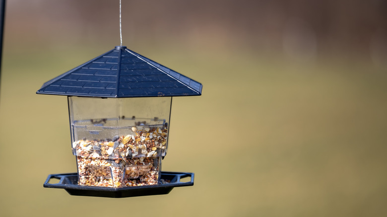 Bird feeder full of seed hanging in mid-air