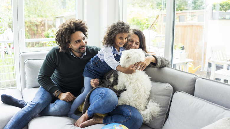 a family with a dog sits by the window