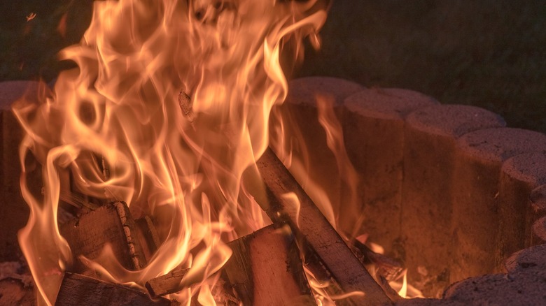 Fire burning in firepit