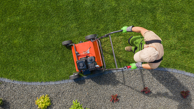 Using machine to aerate lawn