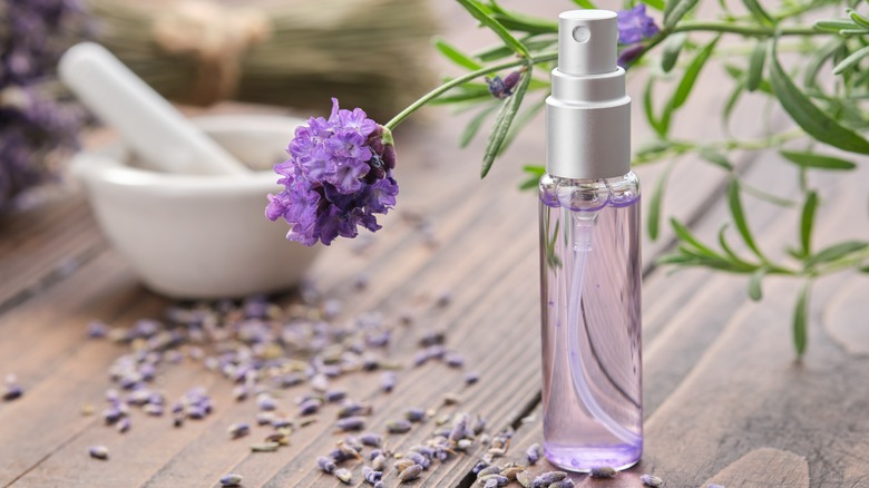 lavender oil in a spray bottle