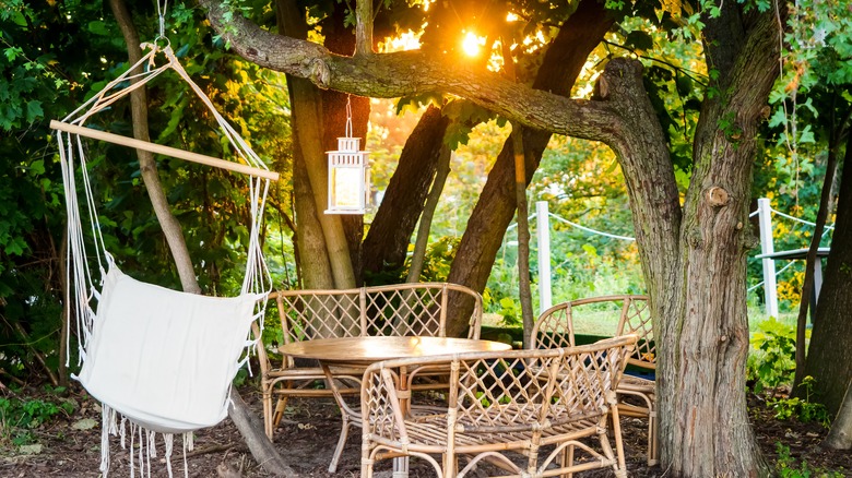 Wicker benches and hanging chair