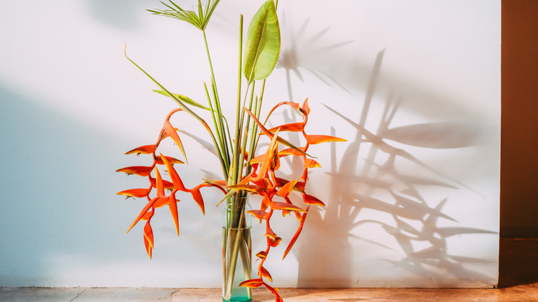 Heliconia flowers in a vase
