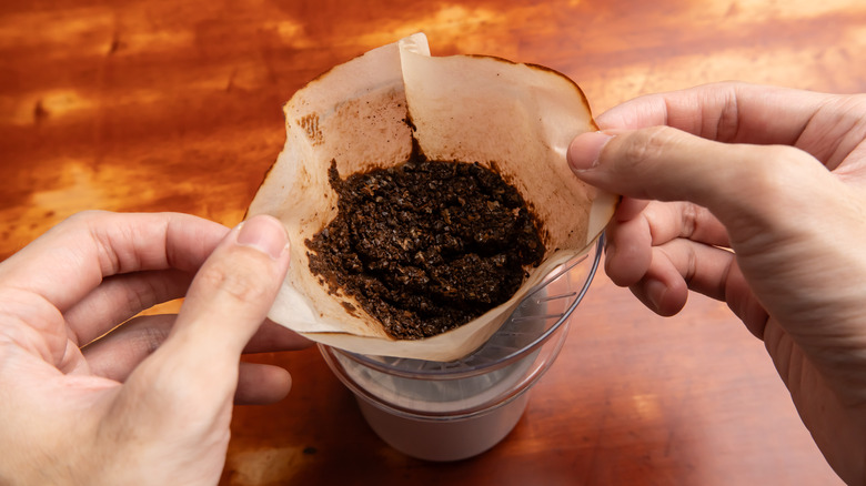 freshly brewed coffee grounds