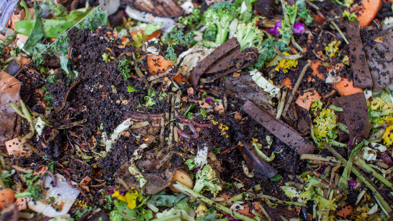 fresh coffee grounds in compost