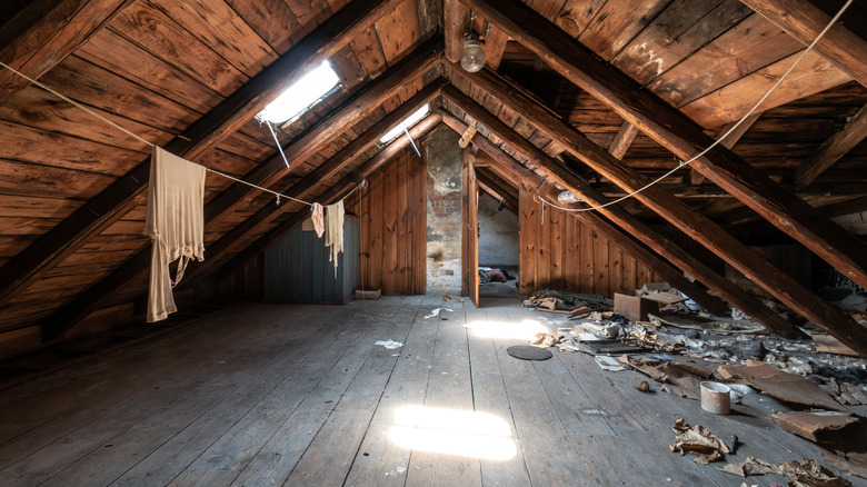 Dirty attic