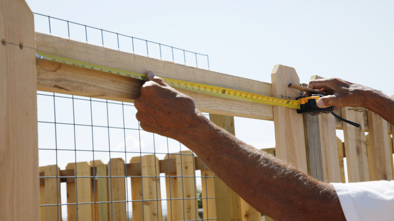 Man measuring the gaps in a wooden fence