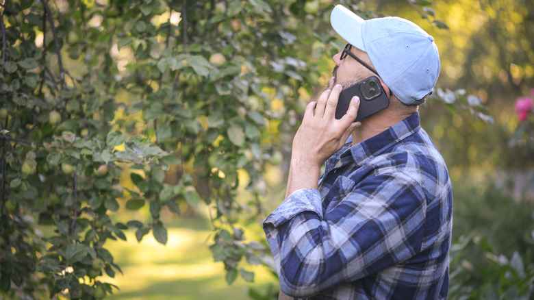 Man on phone in backyard