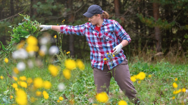 woman pulling and throwing weeds