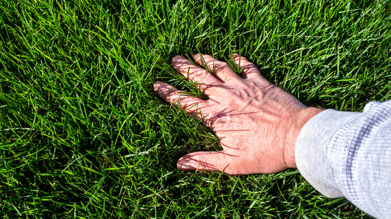 Man touching grass