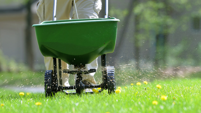 Lawn spreader