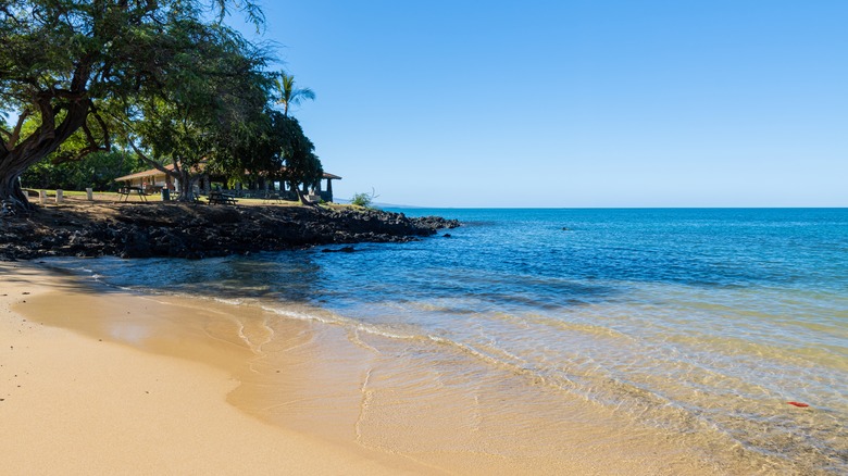 a beach in hawaii