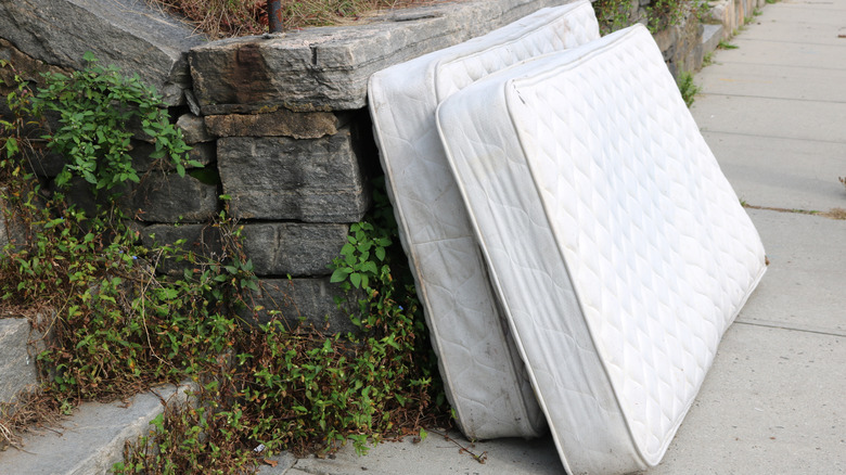 Old discarded mattresses