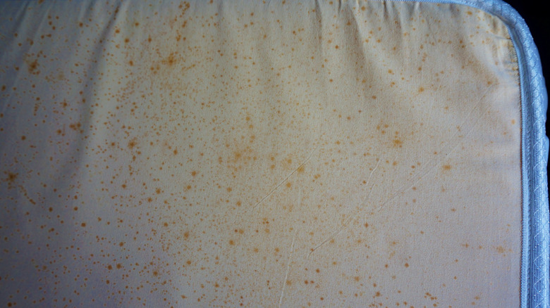 Moldy stains on mattress