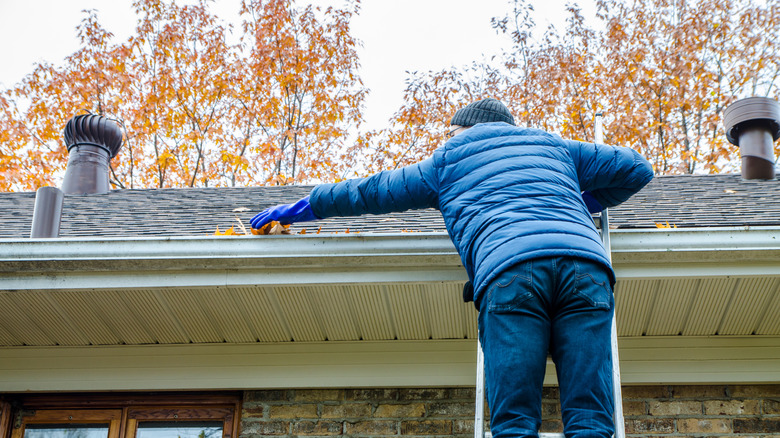 Man on ladder removing leaves from gutters