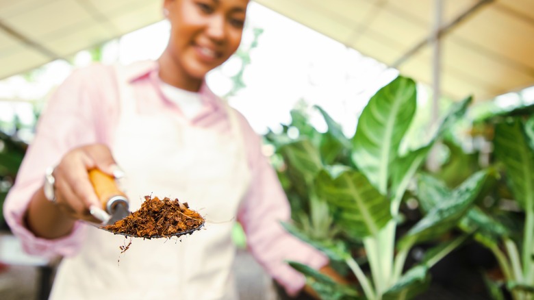 woman holding fertilizer in greenhouse